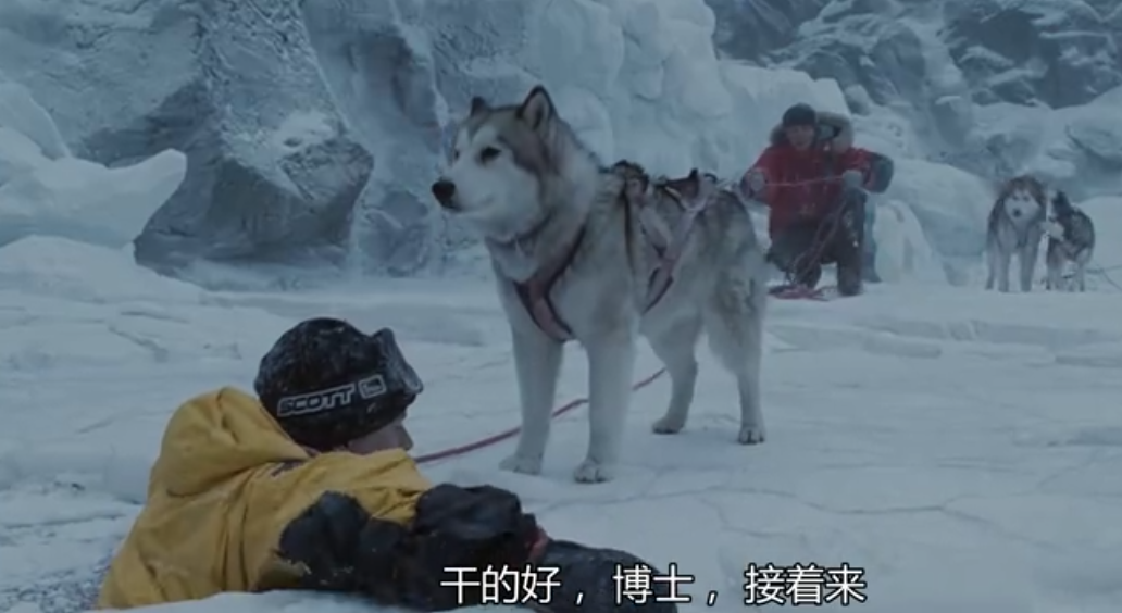 玛雅救博士的时候