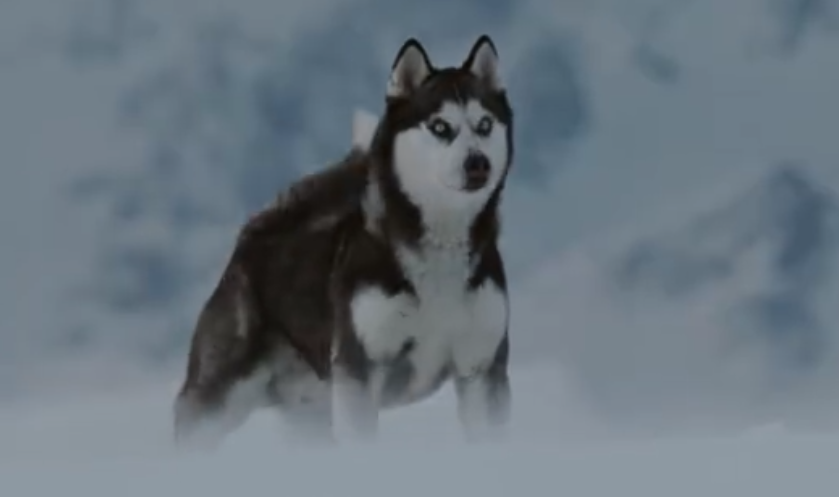 电影《南极大冒险》,成长的代价