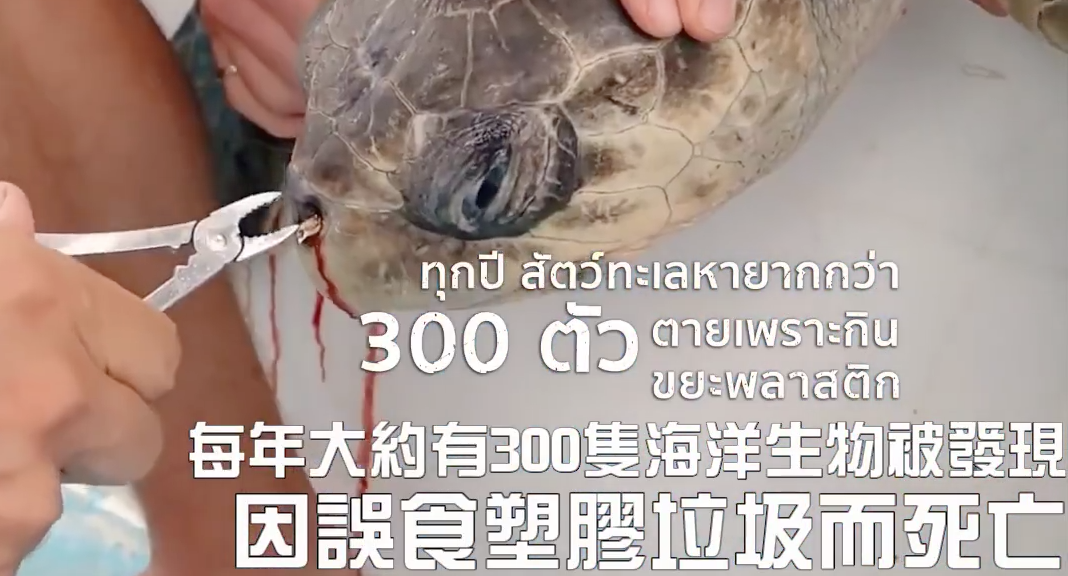 泰国公益广告——假如给你吃塑料袋