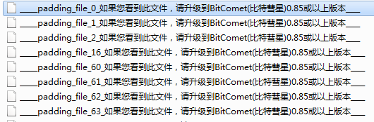 ____padding_file_0_如果您看到此文件,请升级到BitComet(比特彗星)0.85或以上版本