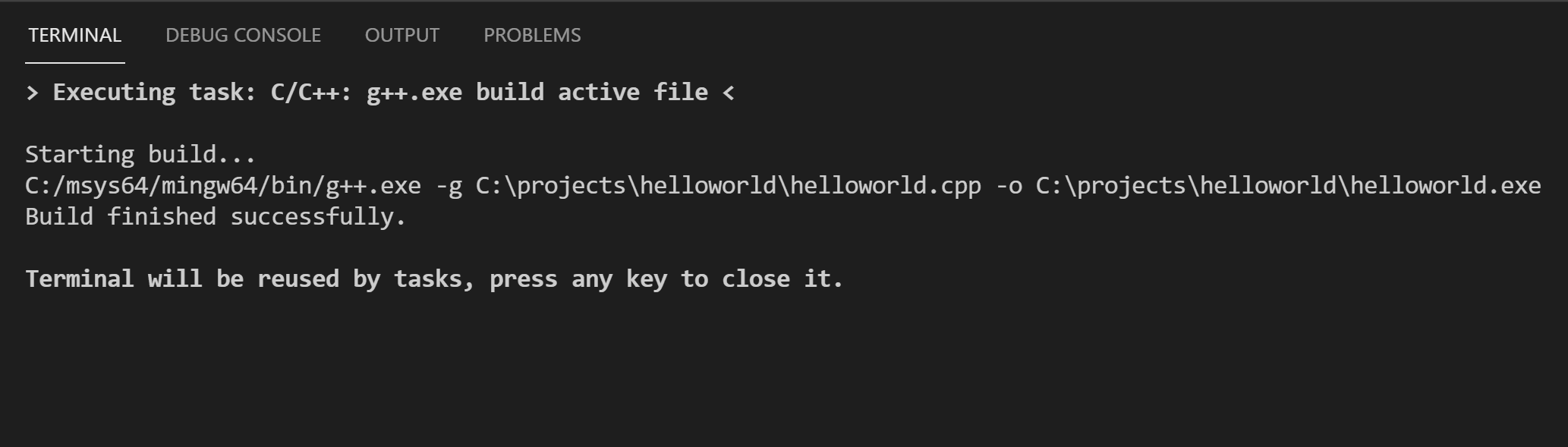 G ++在终端中构建输出